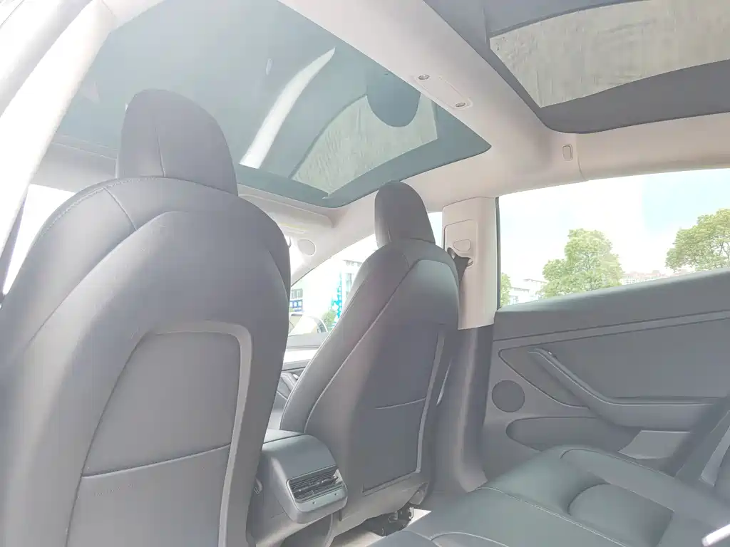 Tesla Model 3 2022 Performance AWD