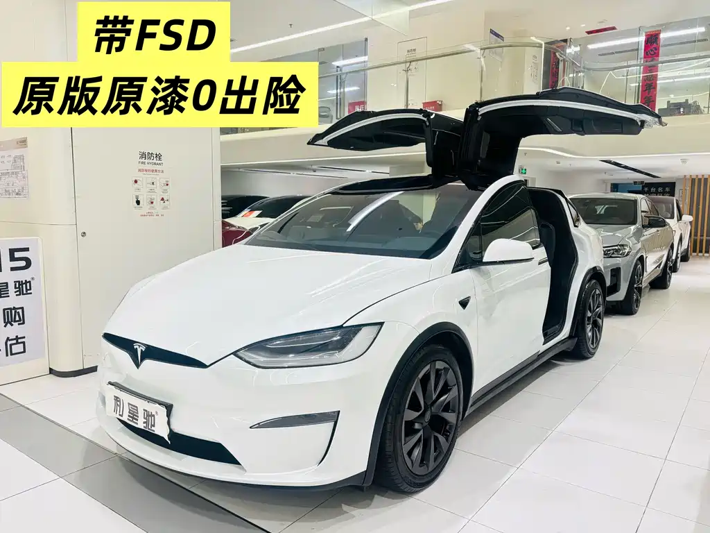 Tesla Model X Dual Motor All-Wheel Drive 2023