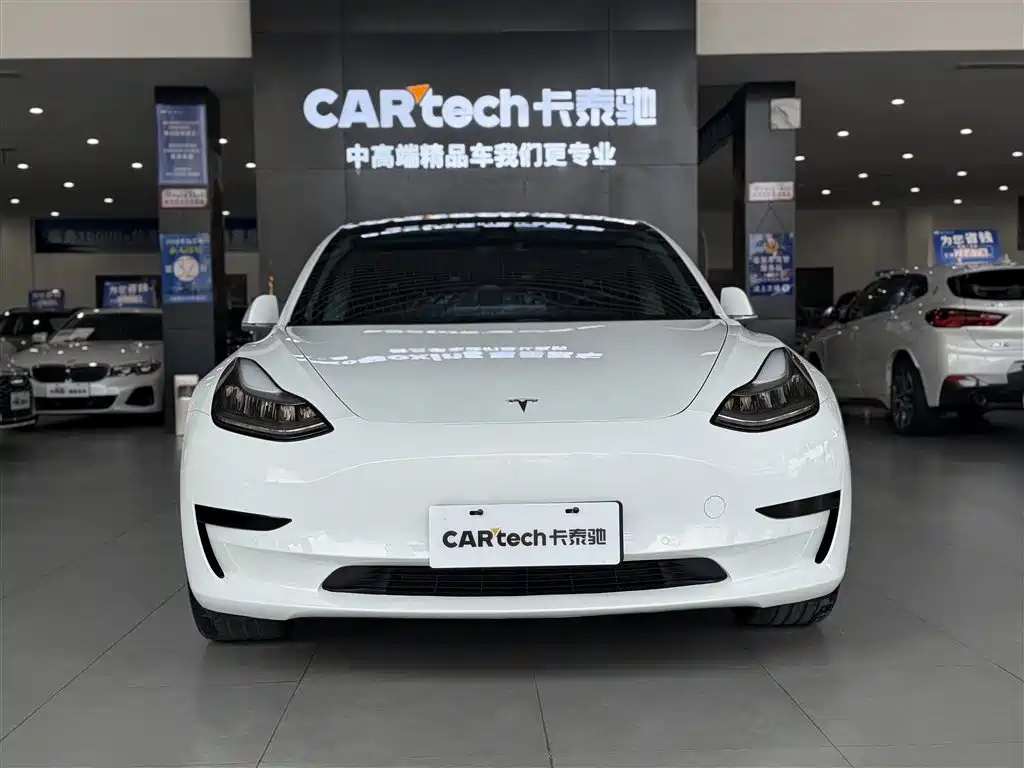 Model 3 2019 Standard Range Plus RWD