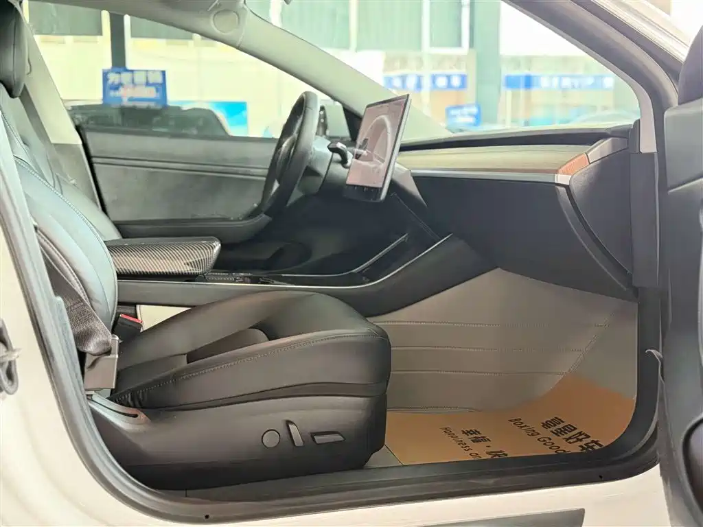 Model 3 2019 Standard Range Plus RWD