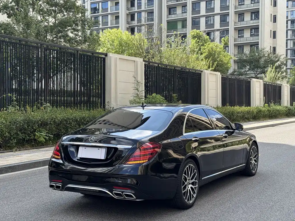 Mercedes-Benz S-Class 2020 S 350 L Business Edition Zhenzang Edition