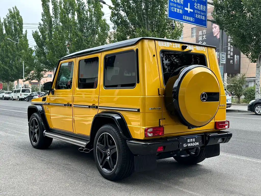Mercedes-Benz AMG G 63 Wild Limited Edition 2015