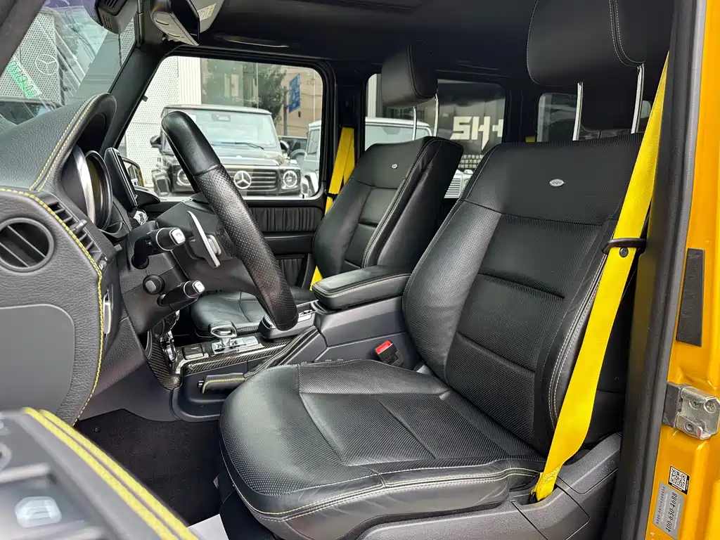 Mercedes-Benz AMG G 63 Wild Limited Edition 2015