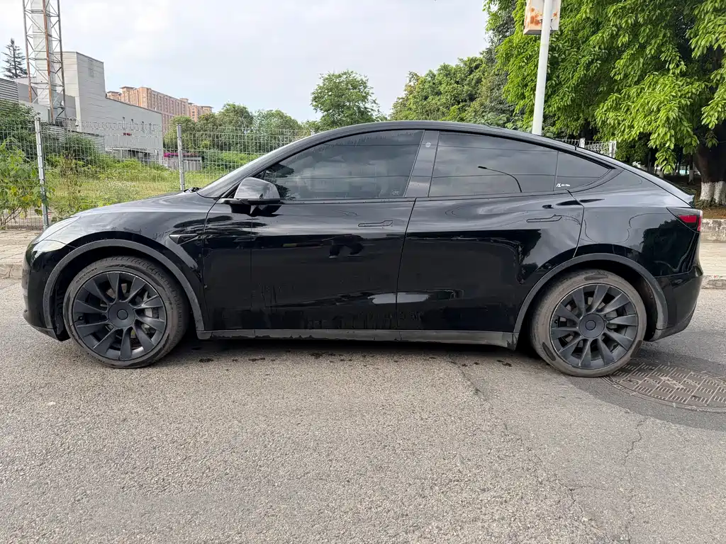 Model Y 2021 Standard Range RWD