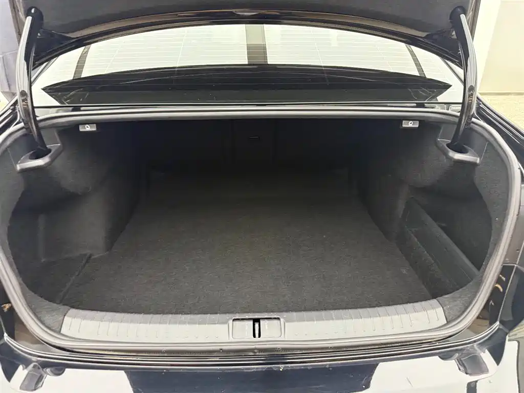 Magotan 2020 330TSI DSG Leading Edition
