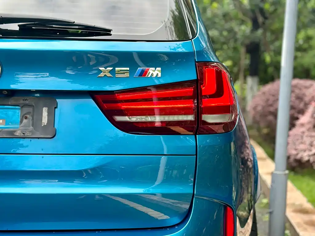 BMW X5 M 2013 - фото 10