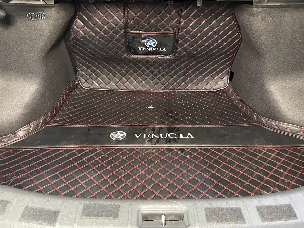 Venucia D60 2019 model 100,000 Glory 1.6L XL Manual Chenkuo Edition China V