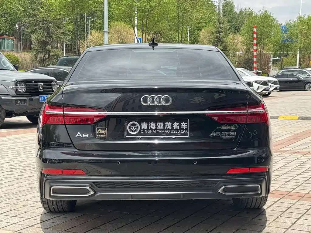 Audi A6L 2020 45 TFSI quattro Zhenxuan Dynamic Edition