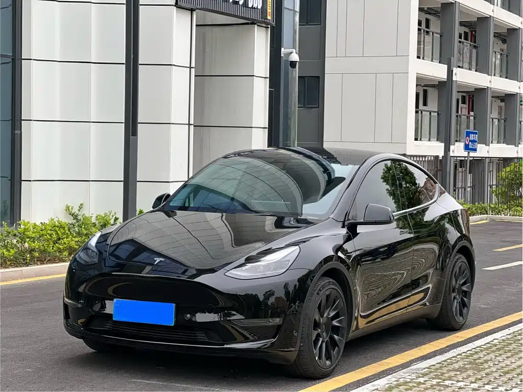 Tesla Model Y 2022 Rear-Wheel Drive