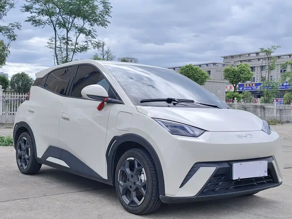 BYD Seagull 2025 Intelligent Driving Edition 305km Freedom Edition