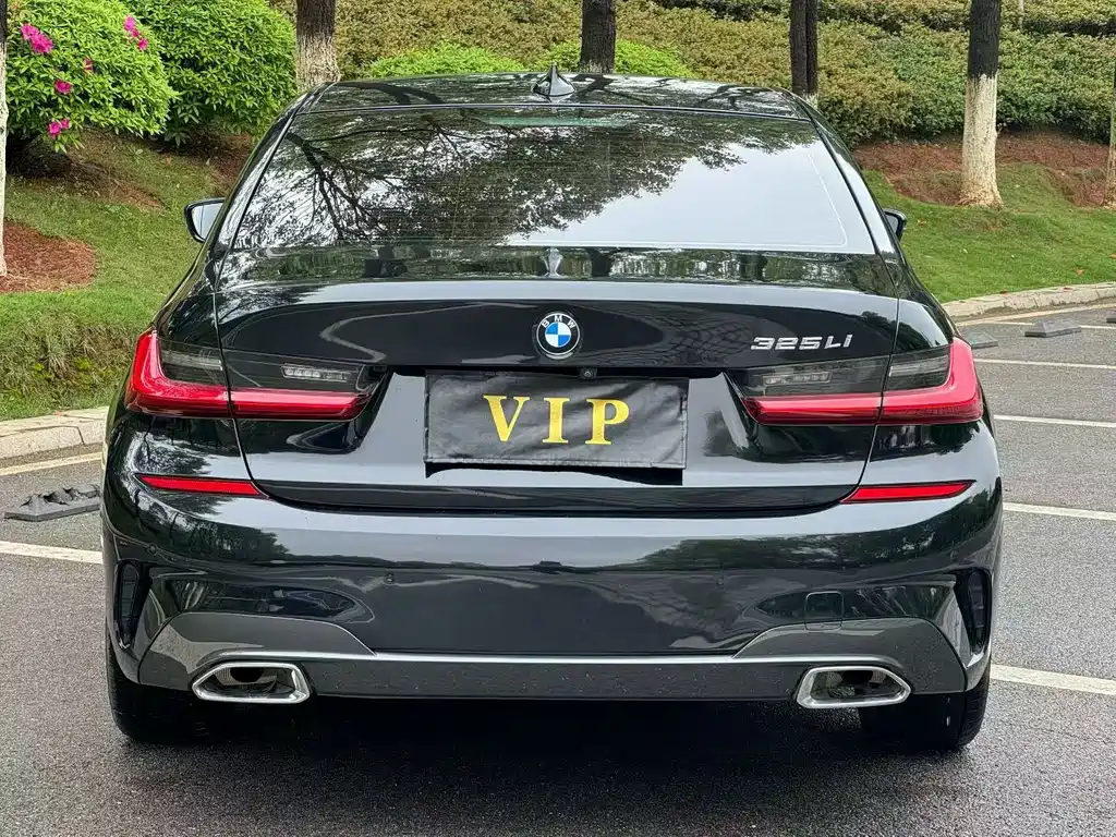 BMW 3 Series 2020 325Li M Sport Package - фото 8