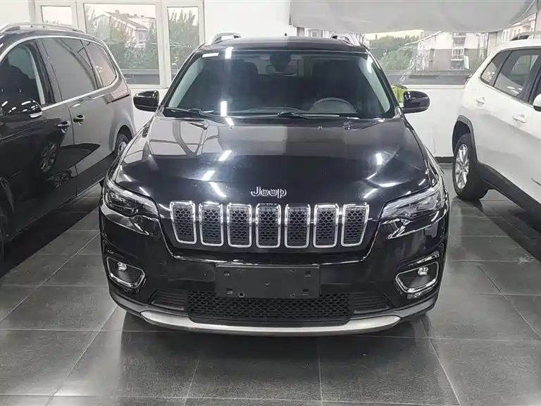 2019 Jeep Cherokee 2.0T 2WD Smart Edition China V