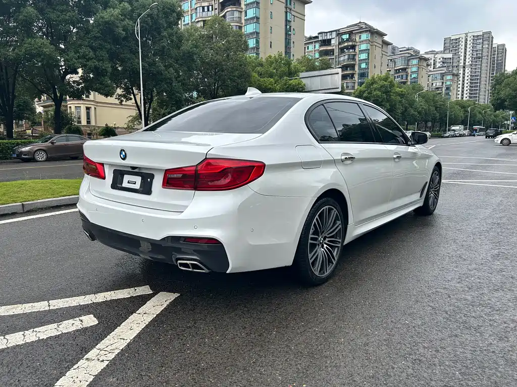 BMW 5 Series 2019 530Li xDrive M Sport Package