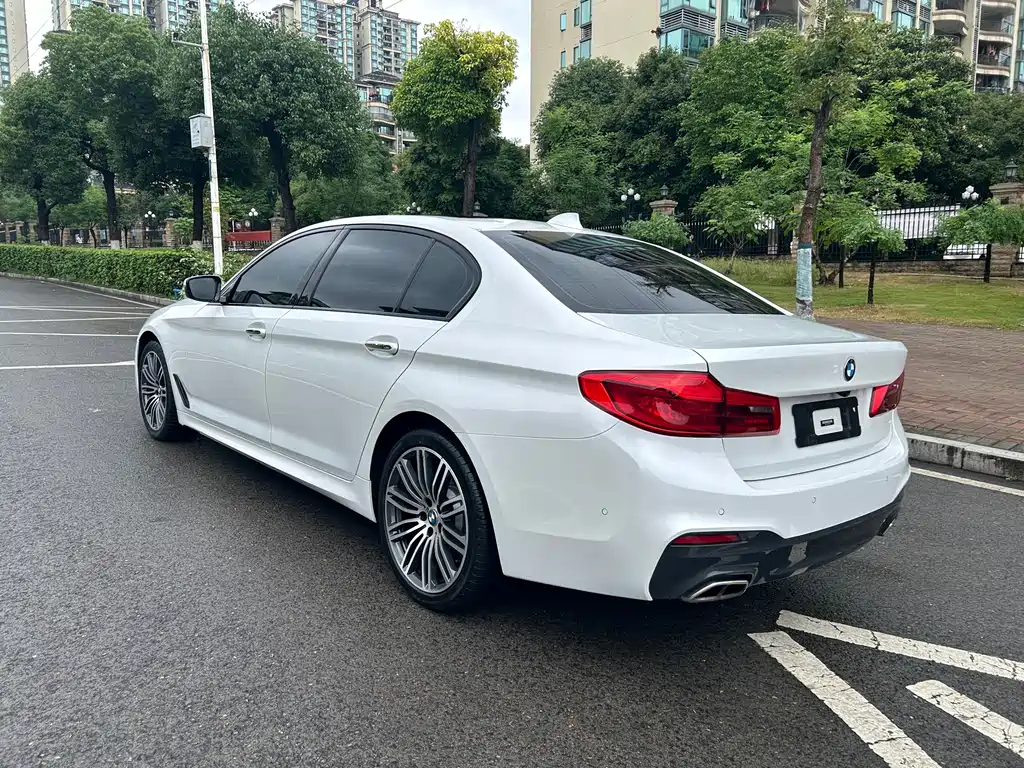BMW 5 Series 2019 530Li xDrive M Sport Package