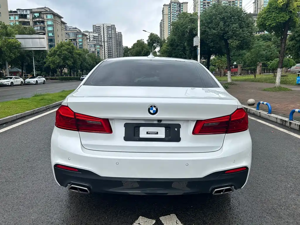 BMW 5 Series 2019 530Li xDrive M Sport Package