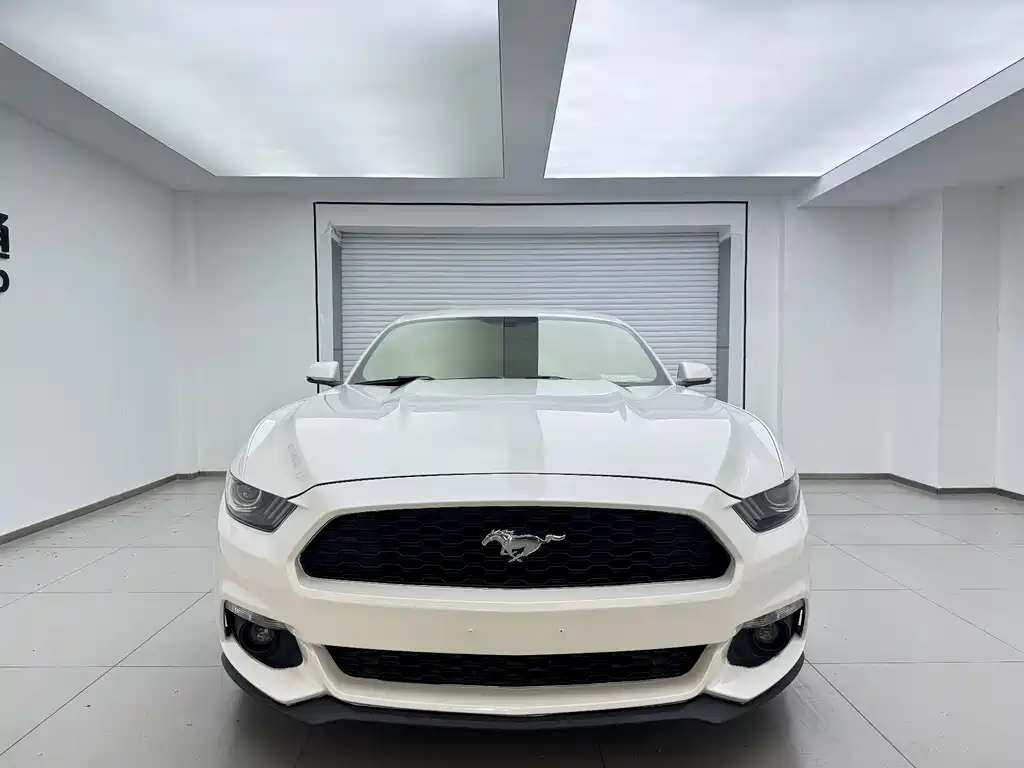 Mustang 2017 2.3T Performance Edition