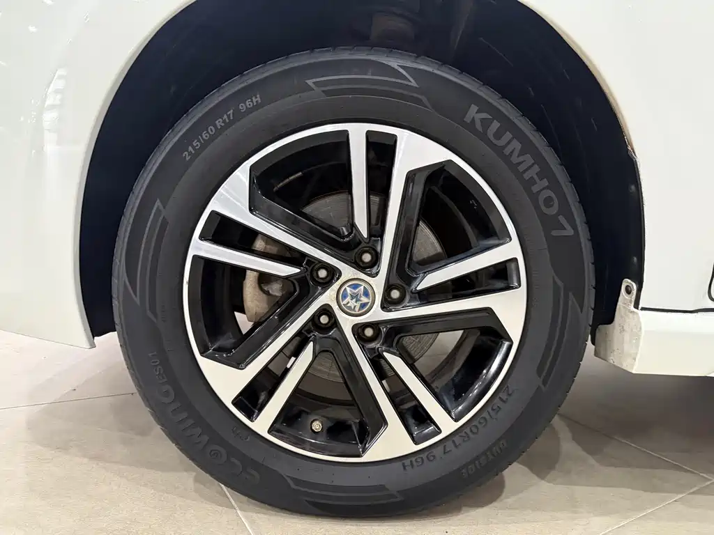 Venucia T70 2019 2.0L CVT Ruixiang Edition China VI