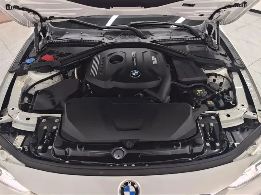 BMW 3 Series 2019 320Li Fashion Edition