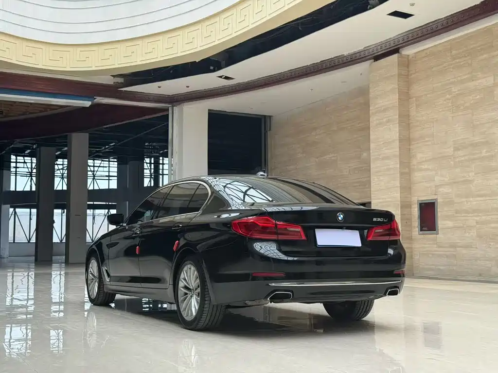 BMW 5 Series 2019 530Li Leading Edition Luxury Package