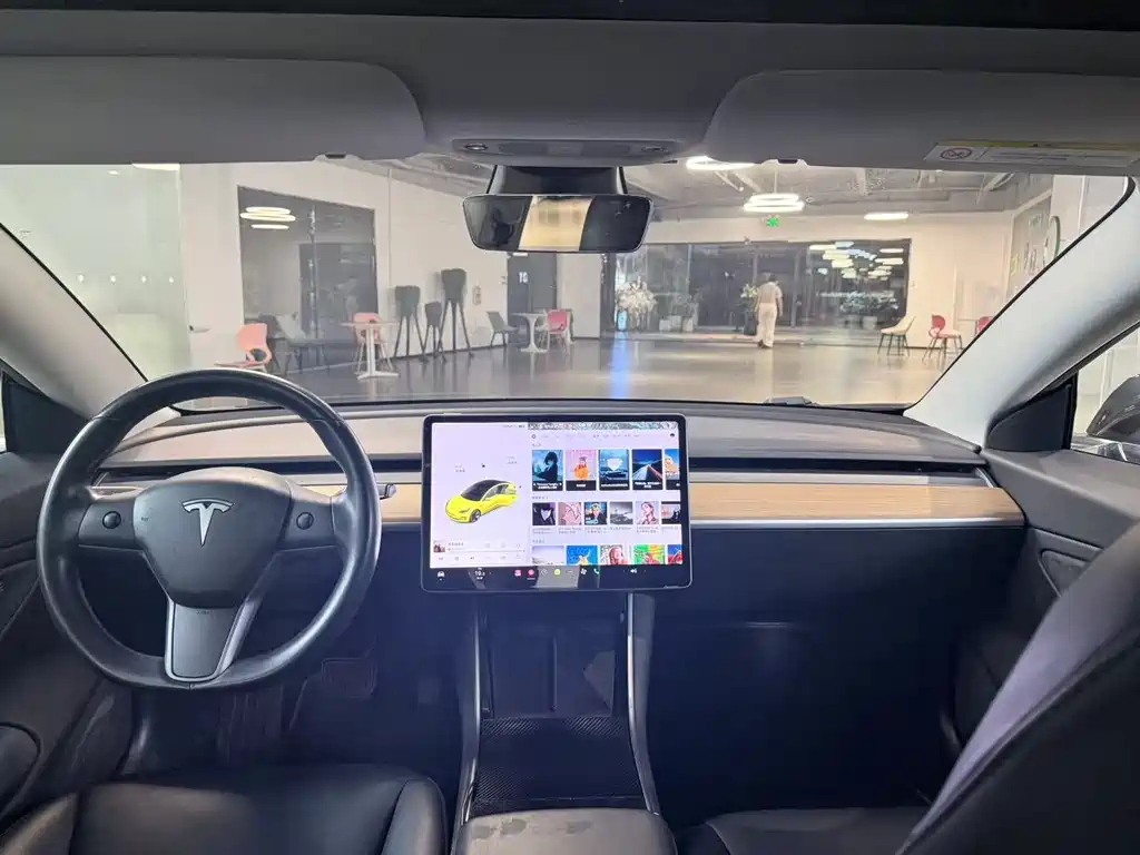 Model 3 Import 2019 Long Range Rear-Wheel Drive