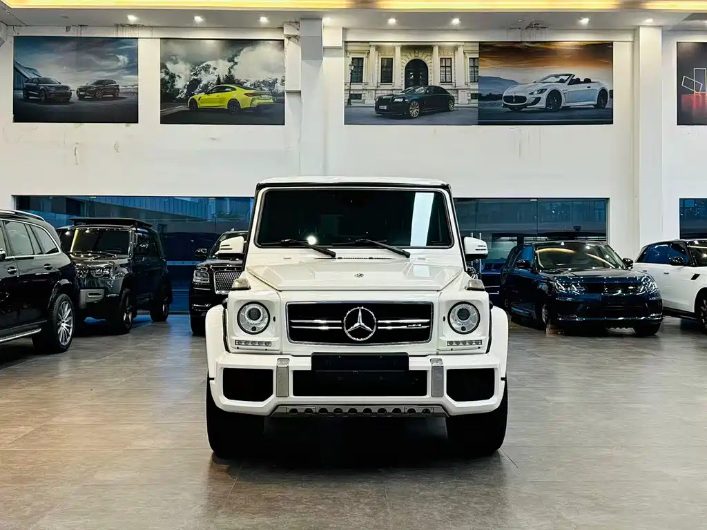 Mercedes-Benz G-Class AMG 2016 AMG G 63 Edition 463