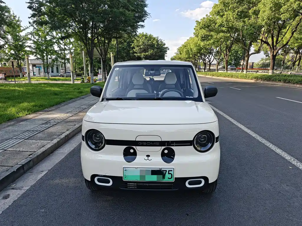 Geely Panda Mini 2025 210km Vitality Edition