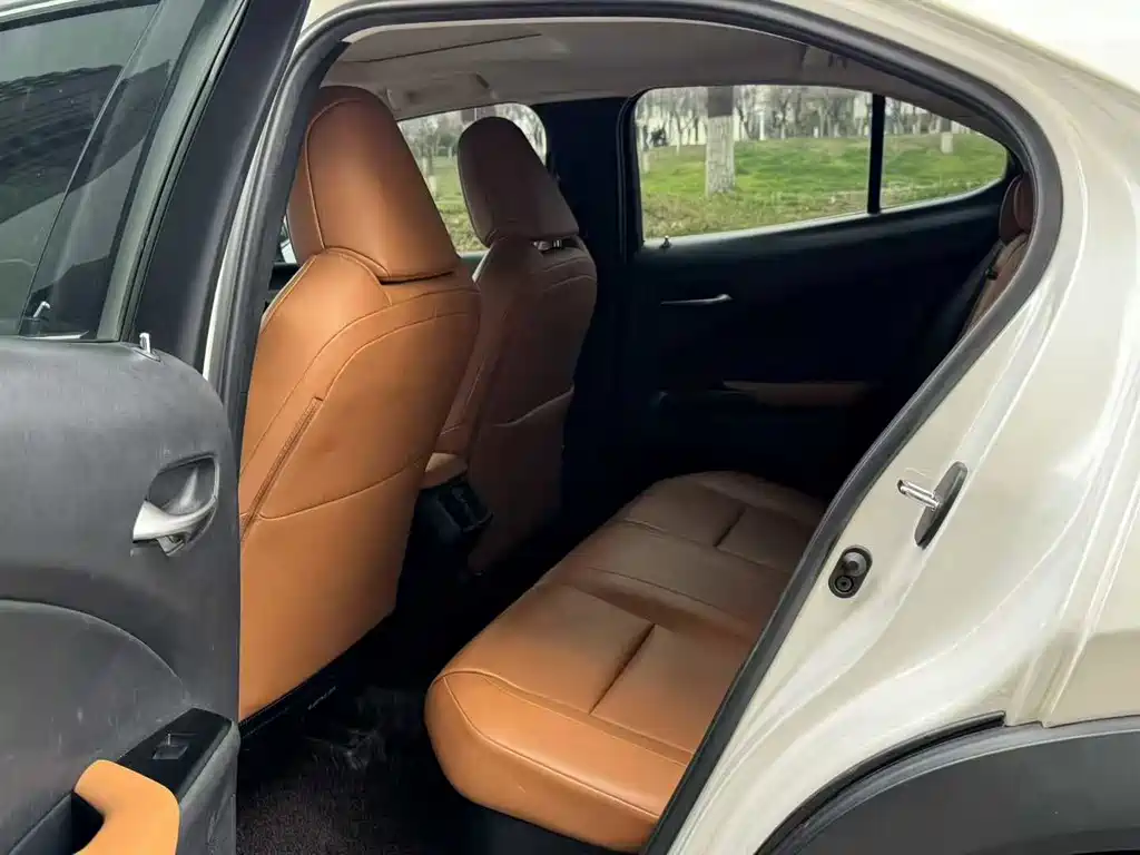 Lexus UX 2020 260h Tan Qu Edition China V