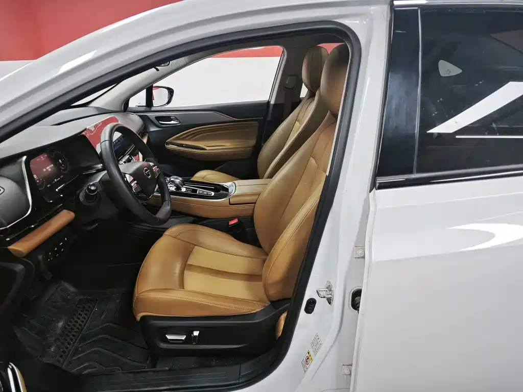 AION S 2019 Evo 530