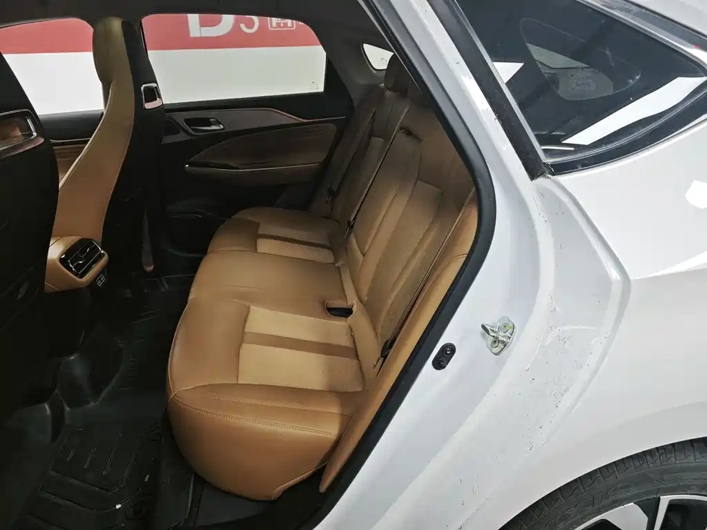 AION S 2019 Evo 530