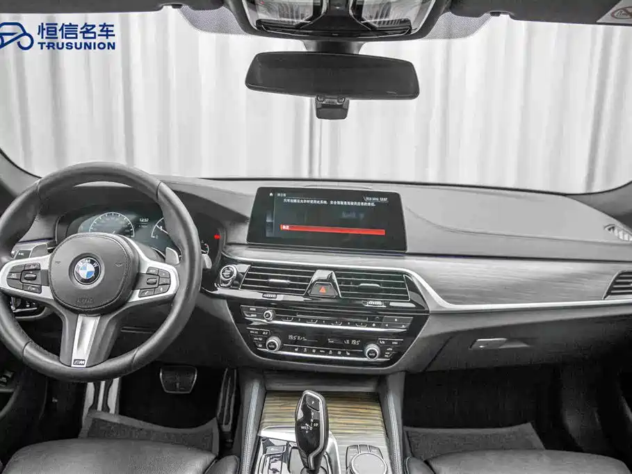 BMW 5 Series Import 2019 530i M Sport Package