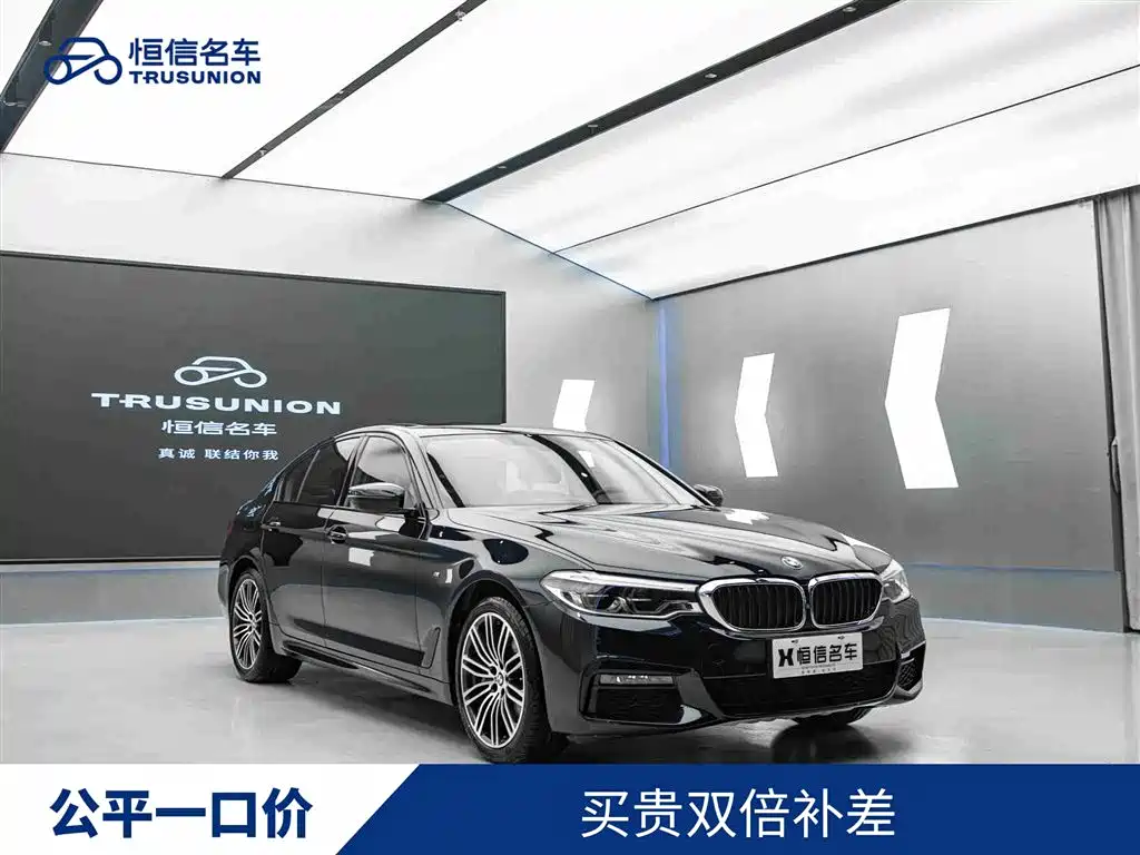 BMW 5 Series Import 2019 530i M Sport Package