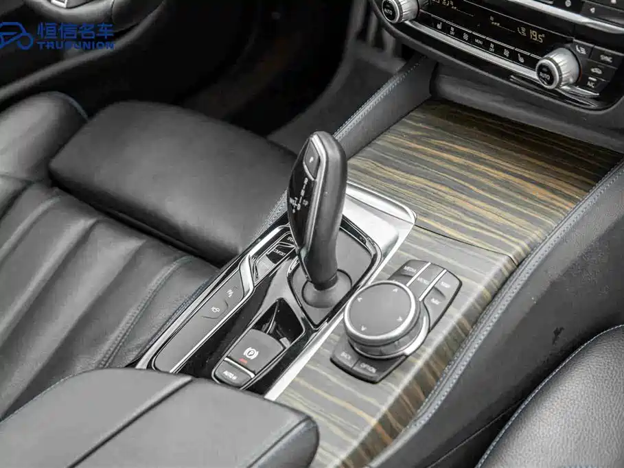BMW 5 Series Import 2019 530i M Sport Package
