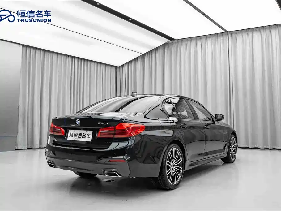 BMW 5 Series Import 2019 530i M Sport Package