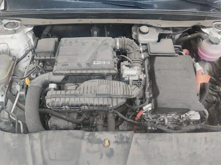 BYD Destroyer 05 2024 Honor Edition DM-i 55KM Luxury