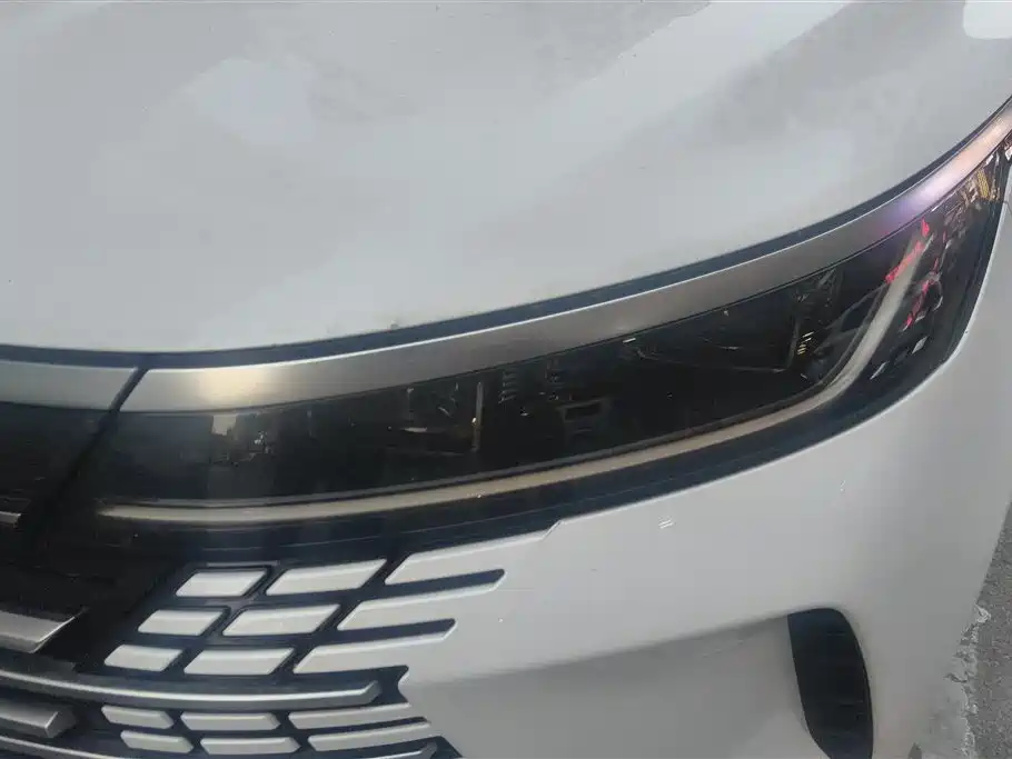 BYD Destroyer 05 2024 Honor Edition DM-i 55KM Luxury