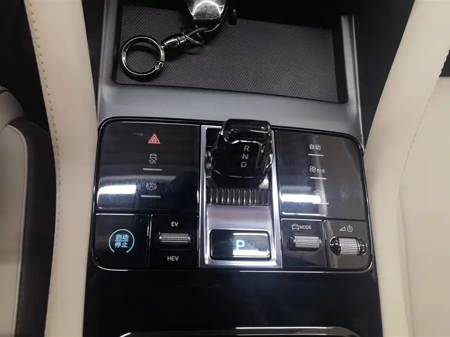 BYD Song PLUS DM-i 112KM Noble Edition 2025