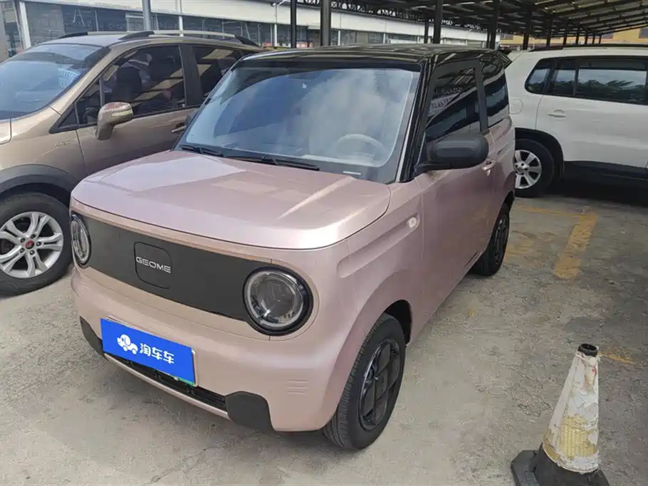 Geely Panda Mini 2024 200km Endurance Edition