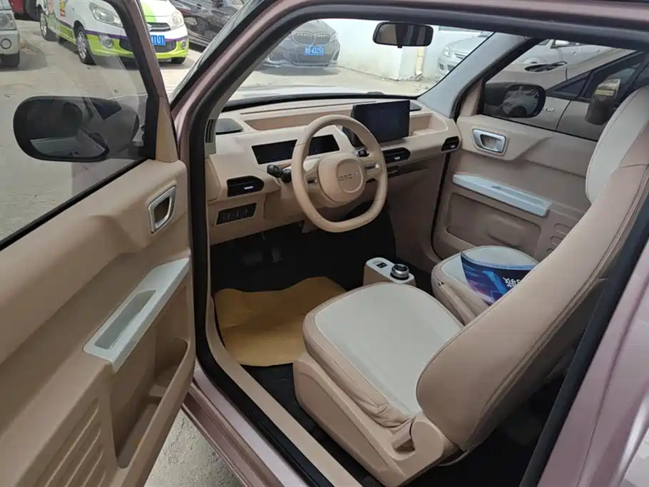 Geely Panda Mini 2024 200km Endurance Edition