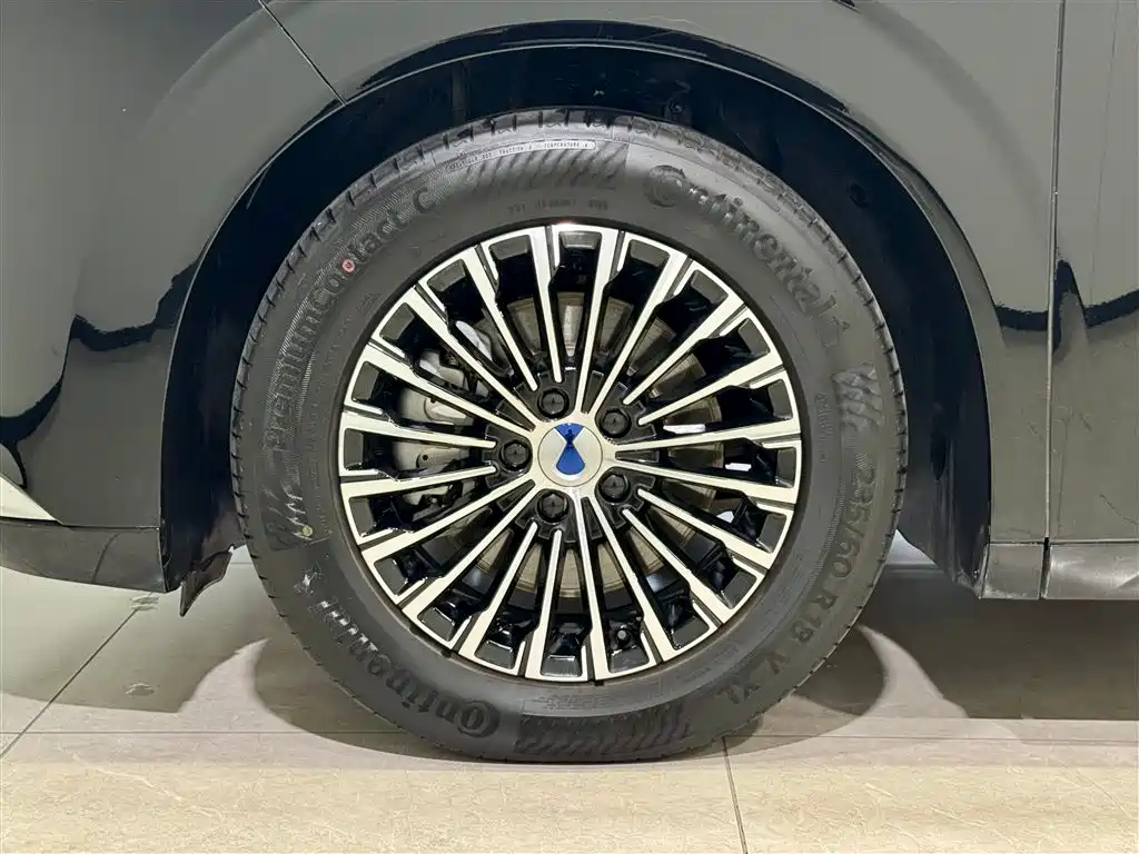 Denza D9 2024 DM-i 980 AWD Zunjong