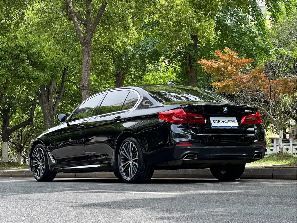 BMW 5 Series 2020 530Li Leading Edition M Sport Package - фото 6