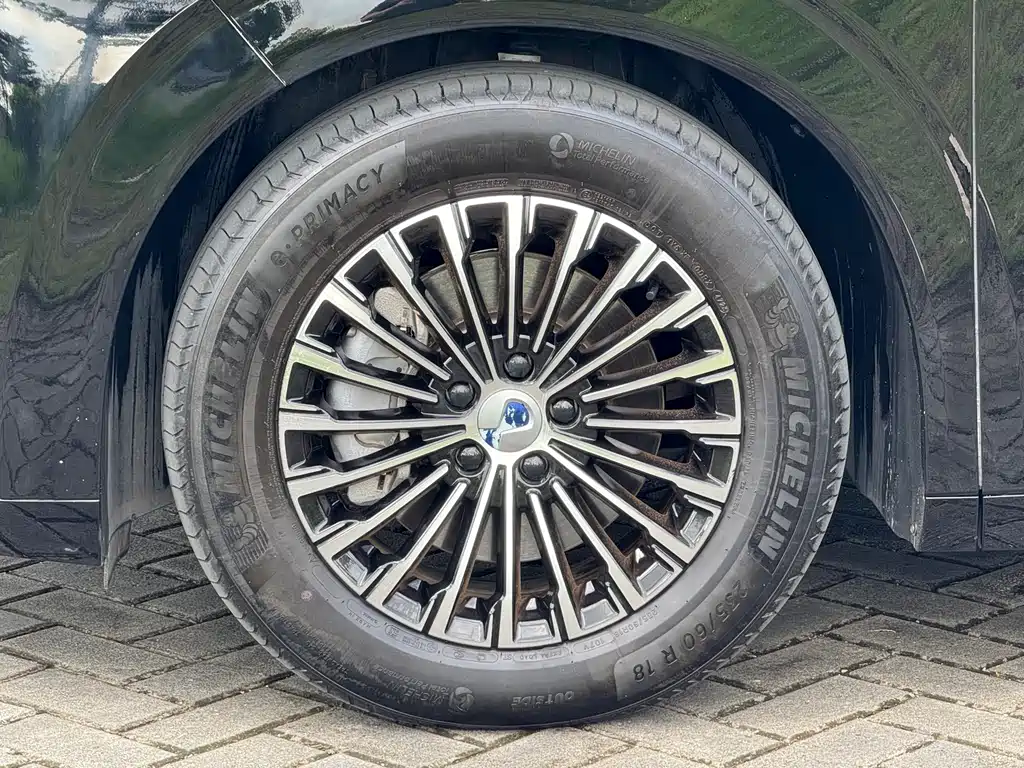 Denza D9 2022 DM-i 970 AWD Zunrong Edition