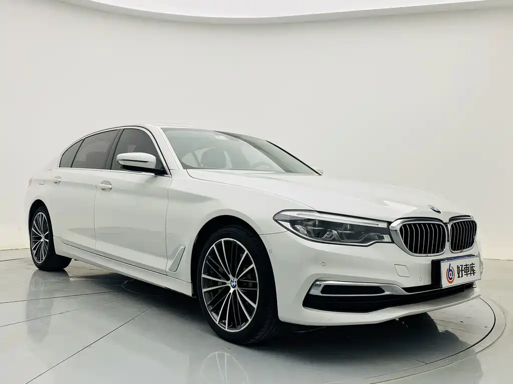 2020 BMW 5 Series 530Li Exclusive Luxury Line - фото 4
