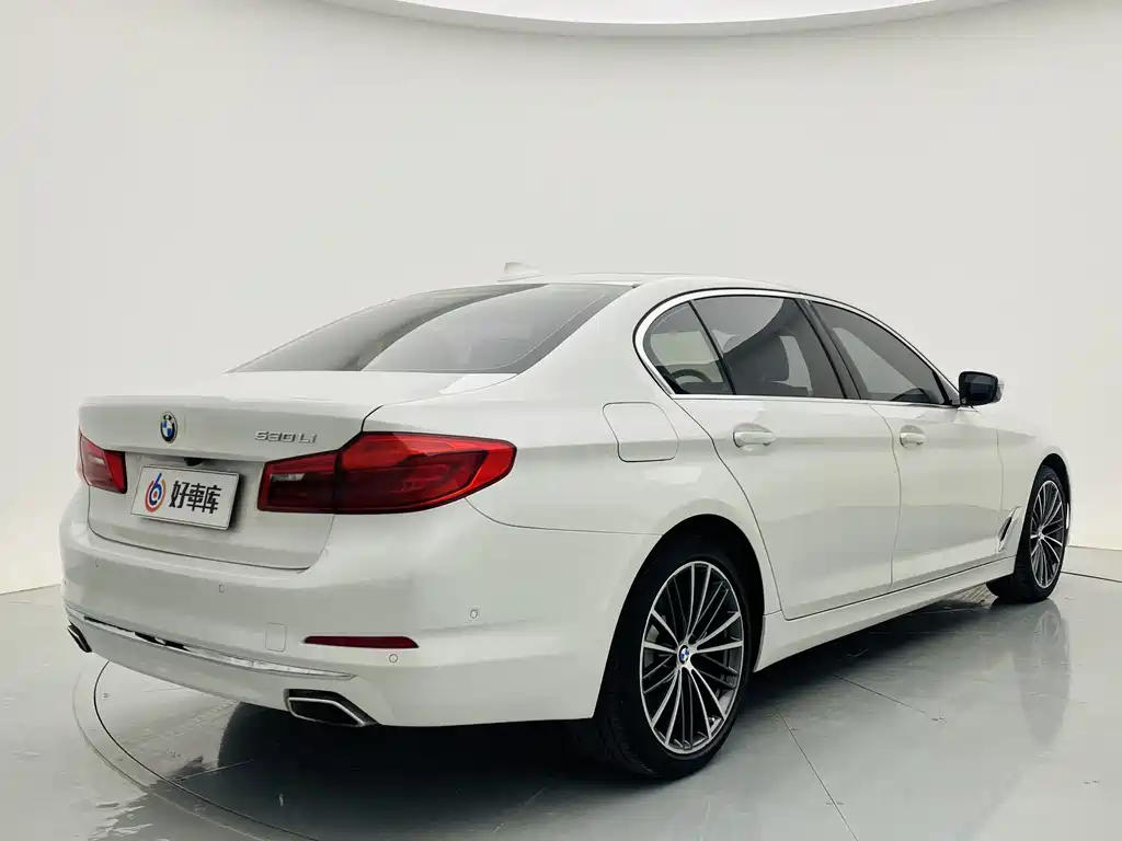 2020 BMW 5 Series 530Li Exclusive Luxury Line - фото 6