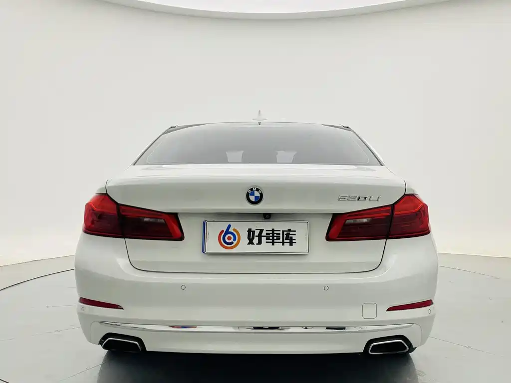 2020 BMW 5 Series 530Li Exclusive Luxury Line - фото 7