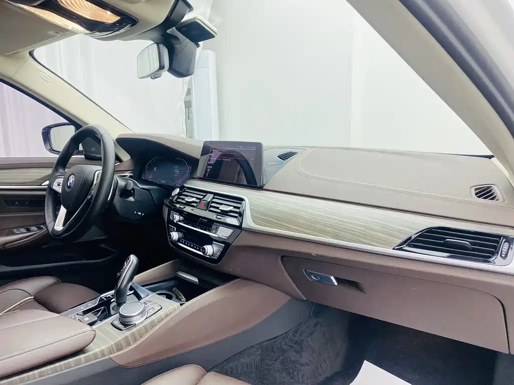 2020 BMW 5 Series 530Li Exclusive Luxury Line - фото 13