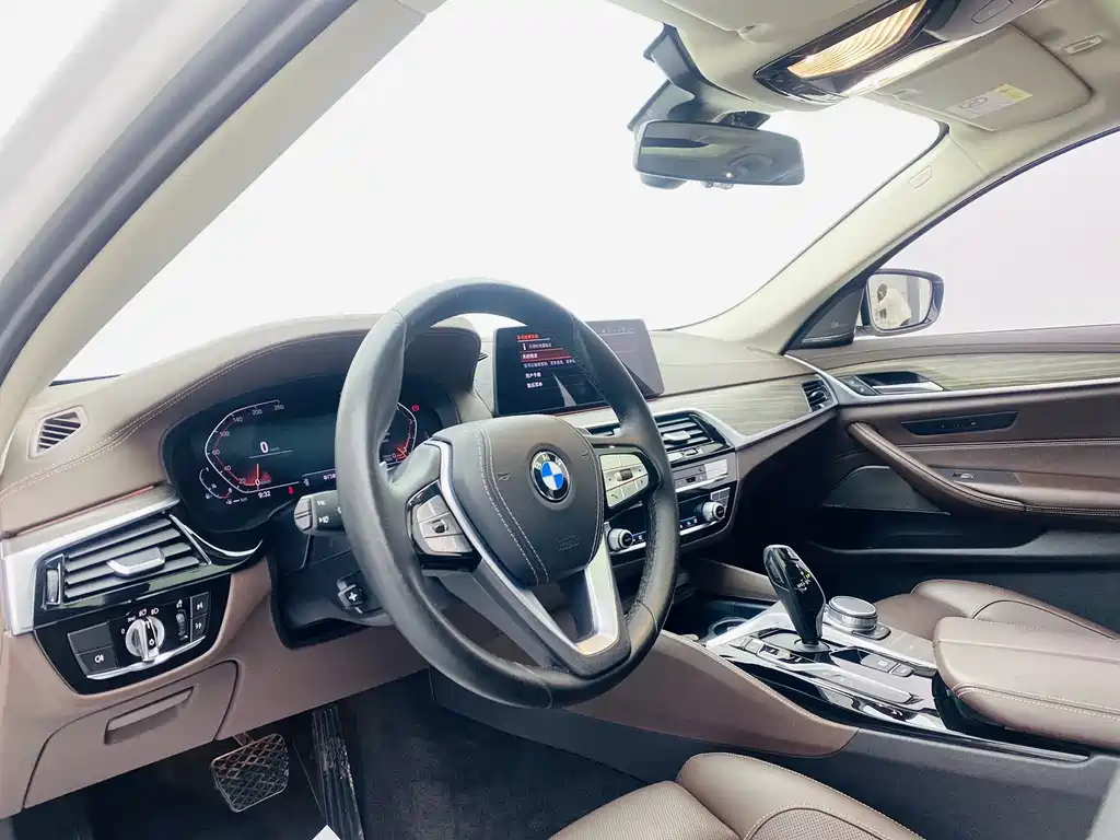 2020 BMW 5 Series 530Li Exclusive Luxury Line - фото 15