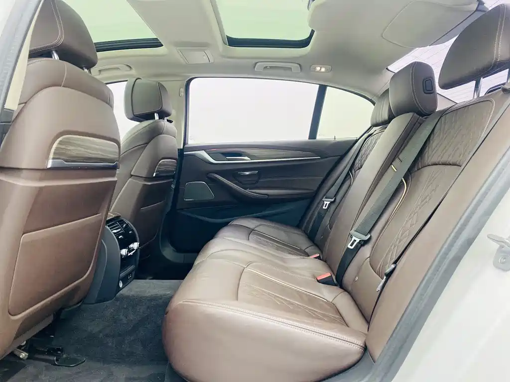 2020 BMW 5 Series 530Li Exclusive Luxury Line - фото 17
