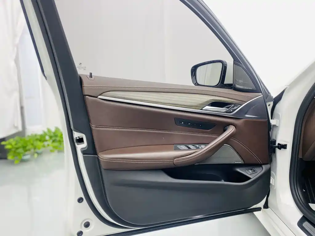 2020 BMW 5 Series 530Li Exclusive Luxury Line - фото 18