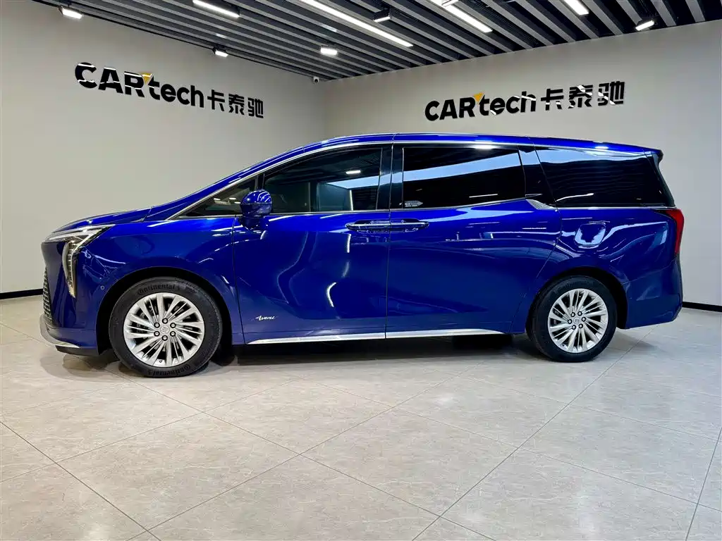 Buick Century 2023 2.0T 6-Seater Yunshi Edition