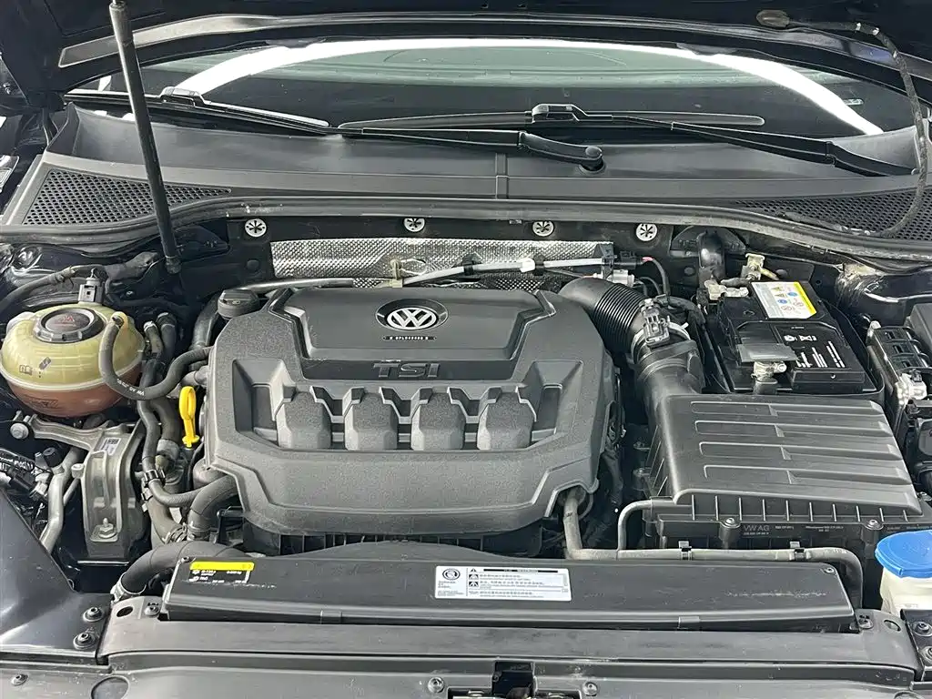 Volkswagen Magotan 2020 330TSI DSG Leading Edition
